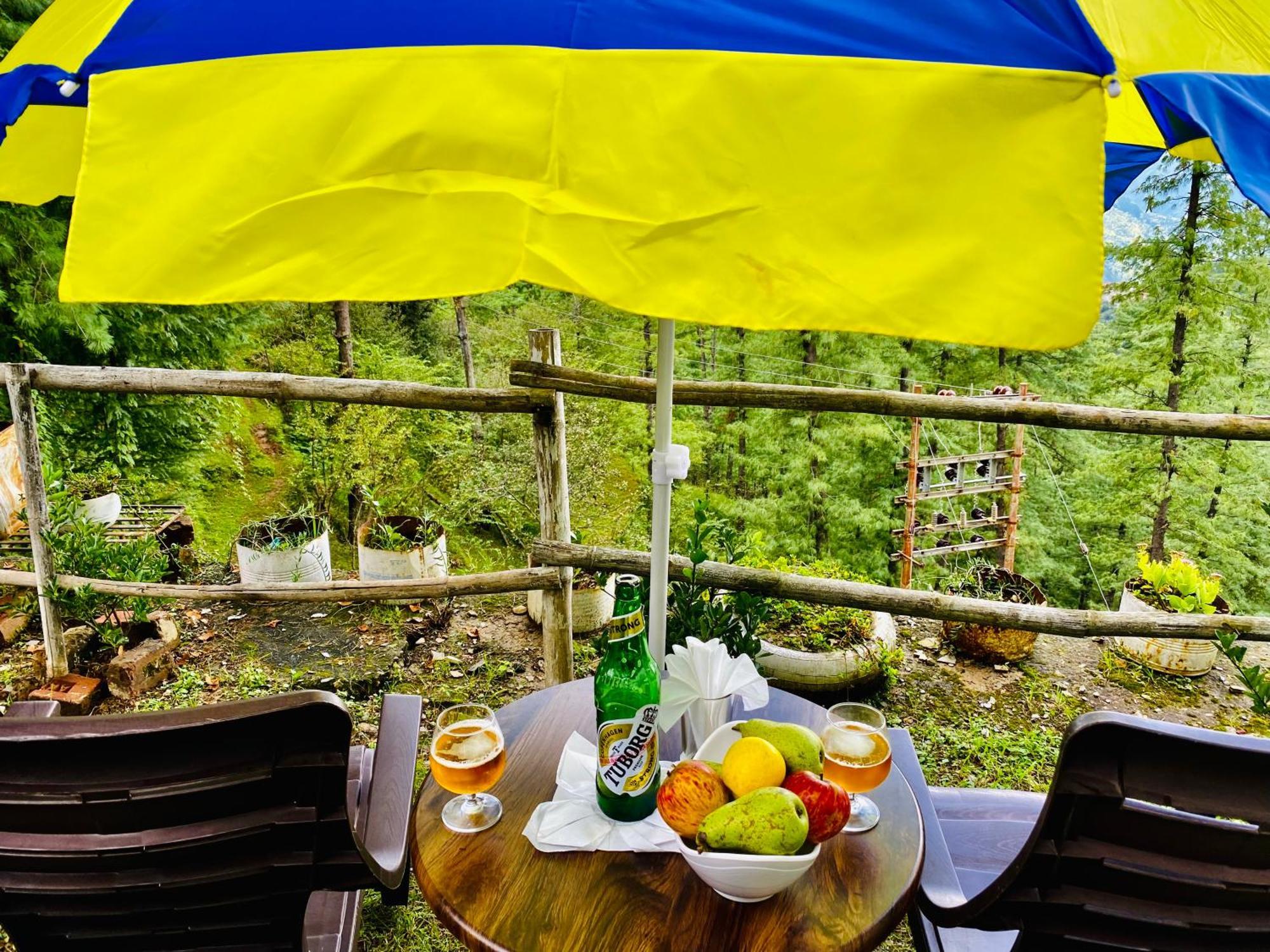 Royal Green Mashobra - Mountain And Valley View Rooms Shimla Exterior foto